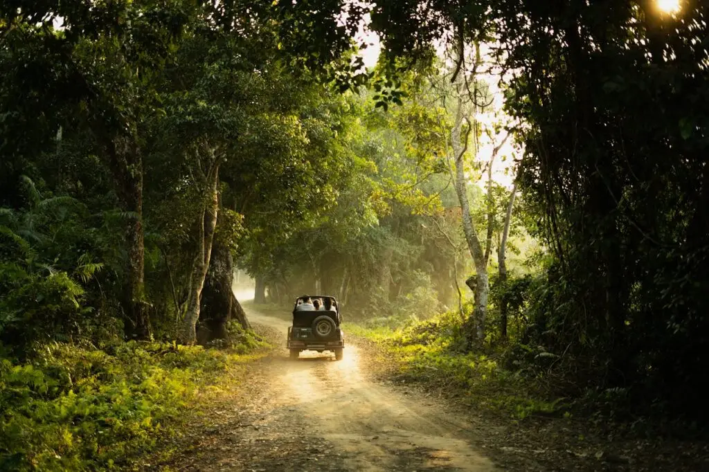 A jeep following a dirt path through green trees. The destination is not seen.